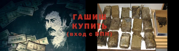 стафф Россошь