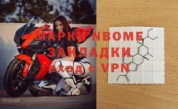 стафф Россошь