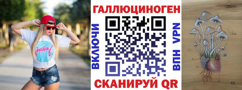Галлюциногенные грибы мицелий  Пласт 